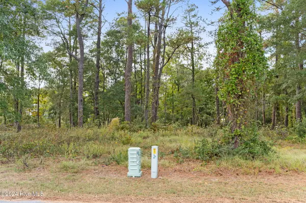 2737 Bellamy DR #SW, Supply, NC 28462