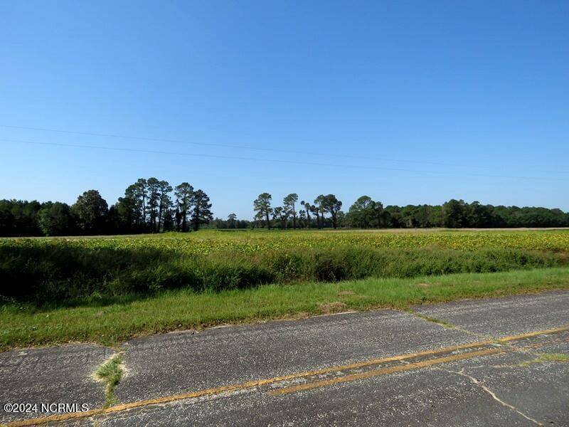 Fairmont, NC 28340,Tbd Cowpen Swamp RD