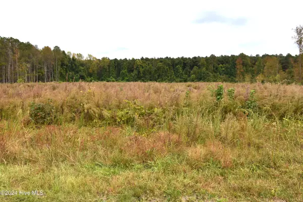 45 Island View RD,  Bath,  NC 27808