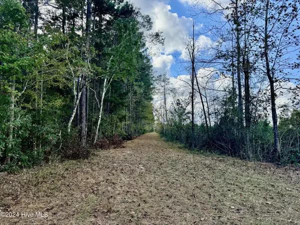 Ash, NC 28420,0 Off Exum RD #NW