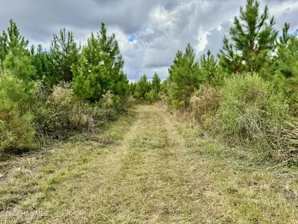 0 Off Exum RD #NW, Ash, NC 28420