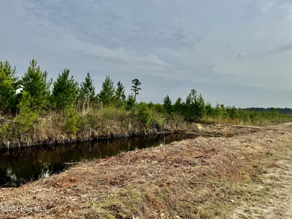 Ash, NC 28420,0 Off Exum RD #NW