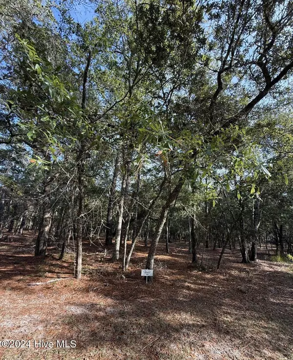 3535 Concordia AVE #SW, Supply, NC 28462