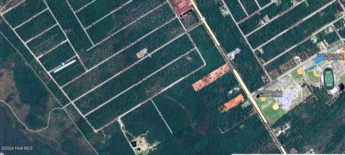 Boiling Spring Lakes, NC 28461,342 Roberson RD