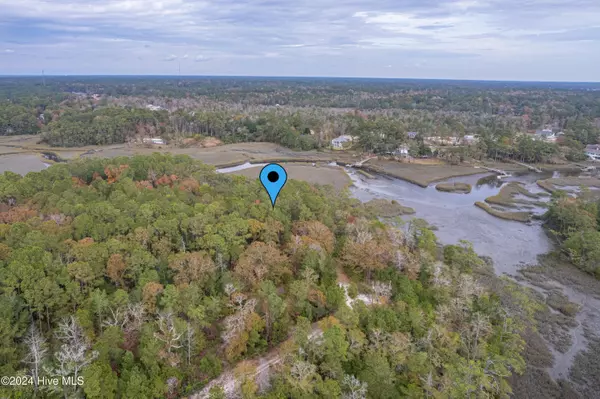 Shallotte, NC 28470,2 Log Landing RD