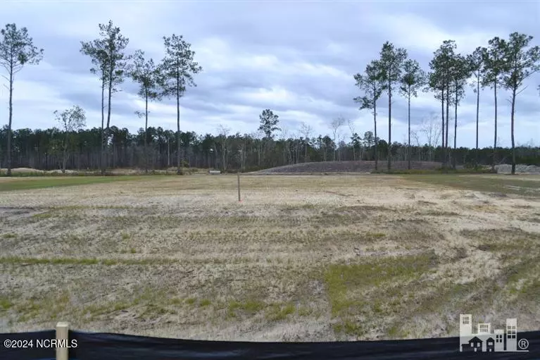 Leland, NC 28451,4390 Fantail DR
