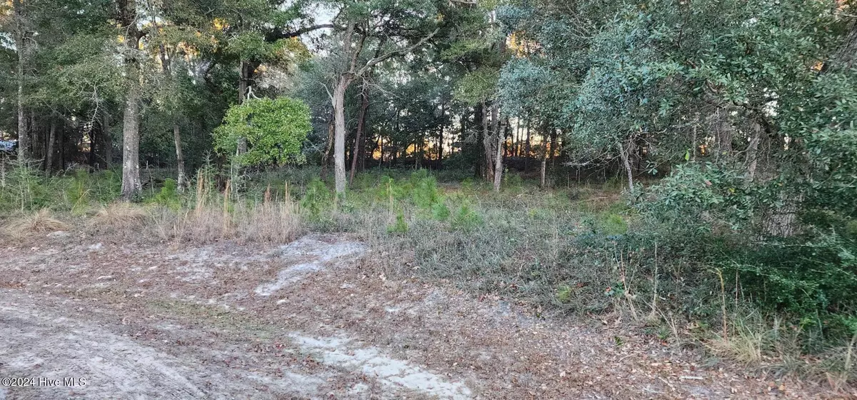 Supply, NC 28462,3335 Stone Crab CT #SW