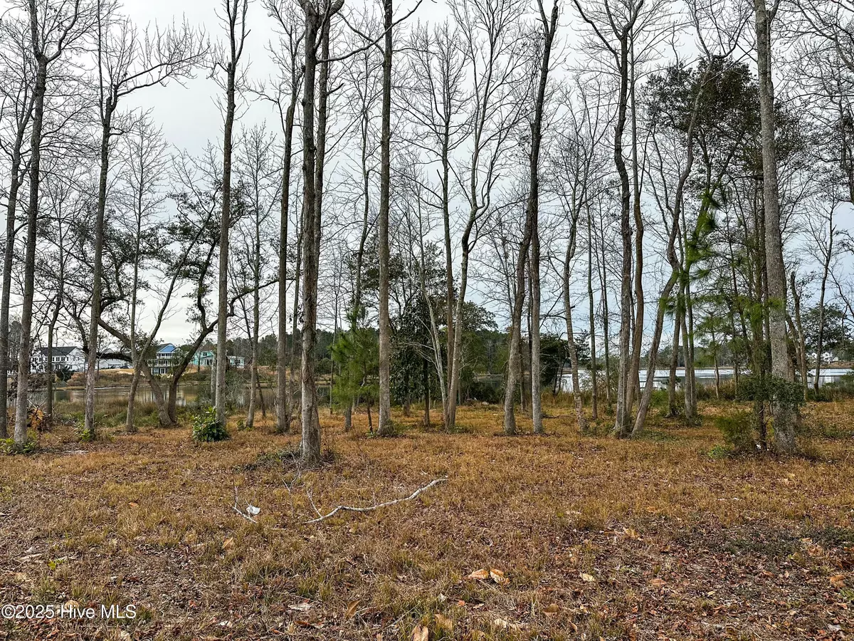 Hampstead, NC 28443,45 Crown Pointe DR