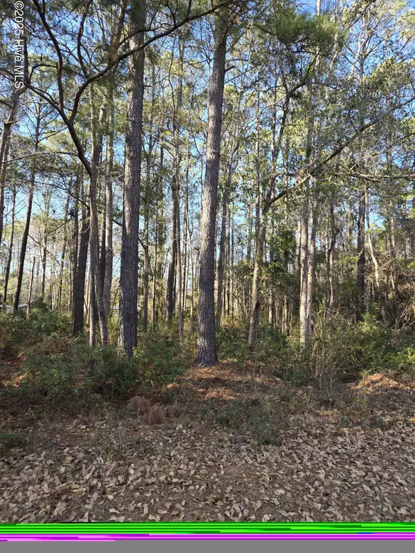 2063 Willow ST #SW, Supply, NC 28462