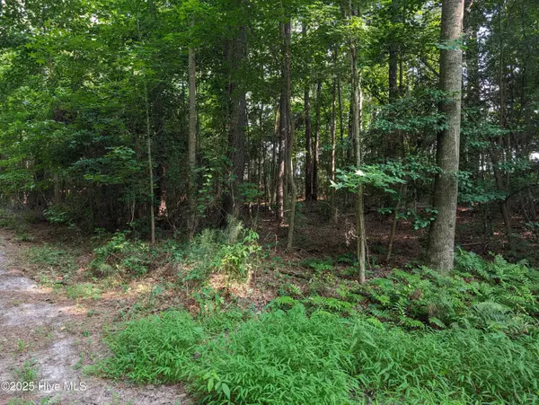 Clarkton, NC 28433,4595 Mercer Mill Brown Marsh RD