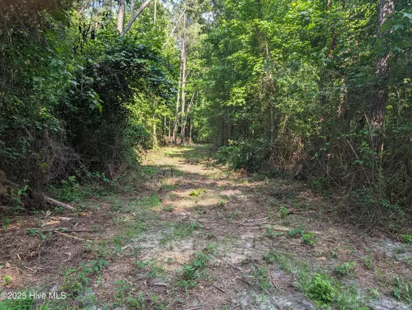 Clarkton, NC 28433,4595 Mercer Mill Brown Marsh RD