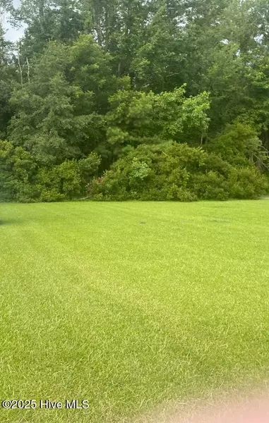 Near 702 Conway RD, Fair Bluff, NC 28439