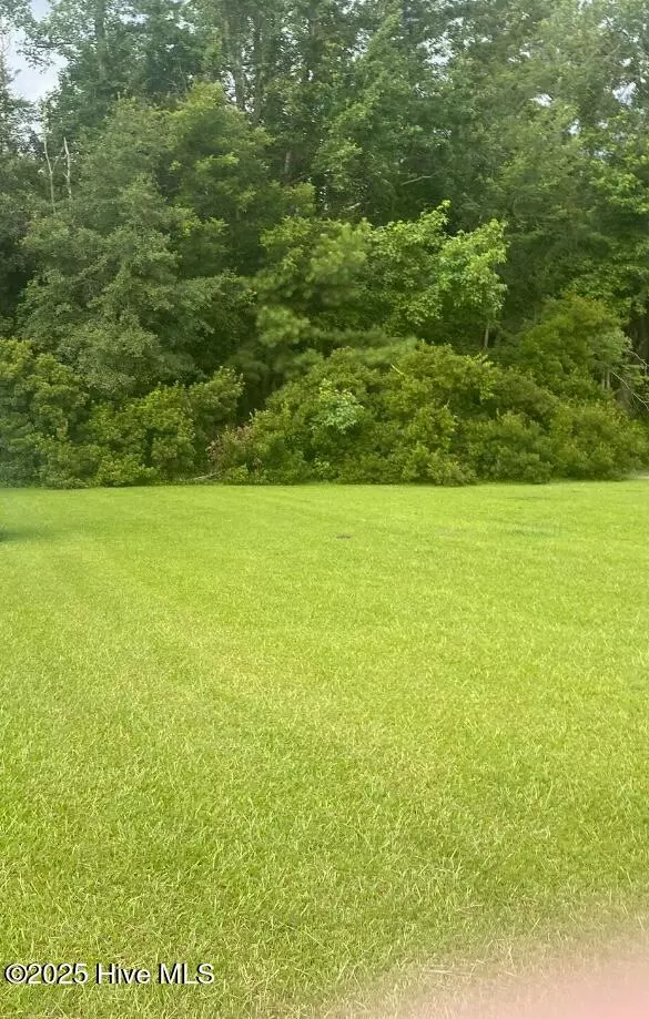 Fair Bluff, NC 28439,Near 702 Conway RD