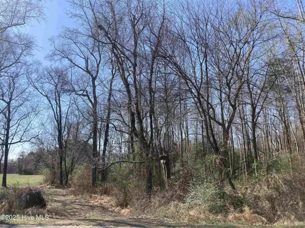 Four Oaks, NC 27524,0 Oak Forest RD