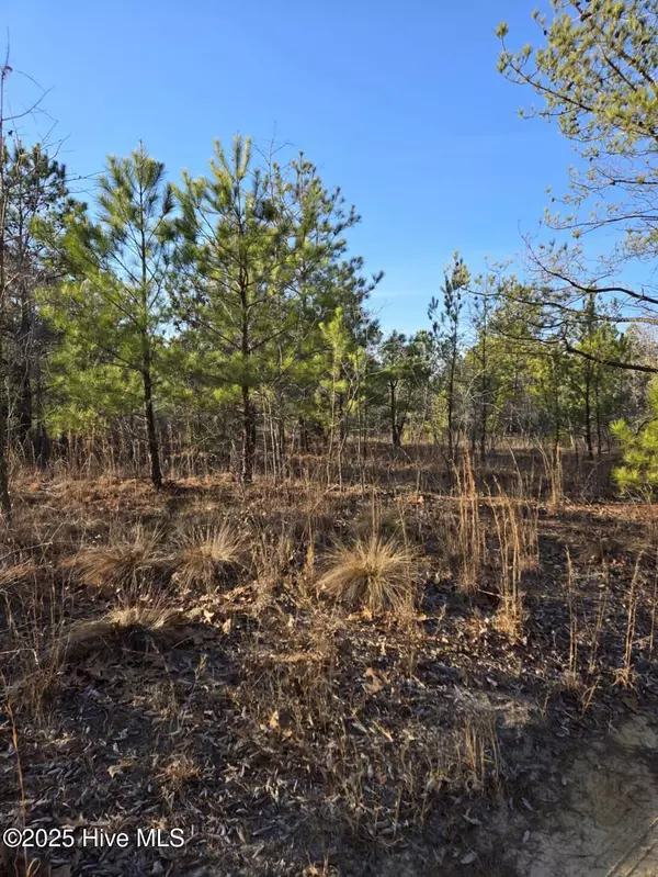 Hamlet, NC 28345,Tbd Dirt RD