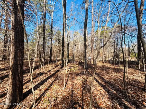Hertford, NC 27944,49 E Inlet CIR