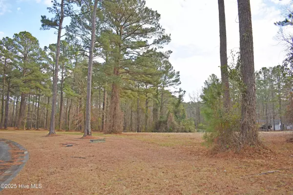 157 Corrolla Loop RD, Oriental, NC 28571