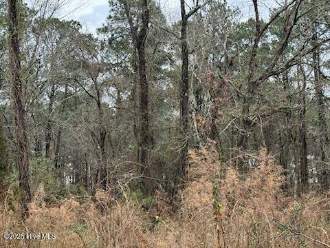 Richlands, NC 28574,0 Firetower RD