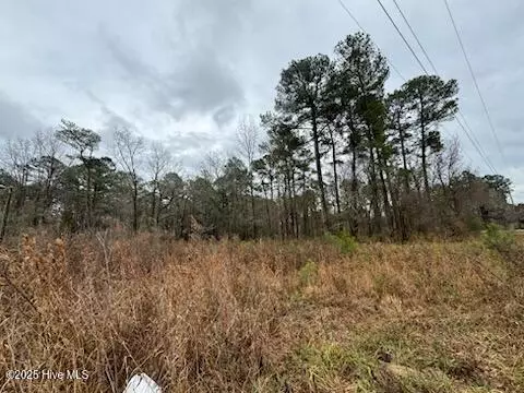 Richlands, NC 28574,0 Firetower RD