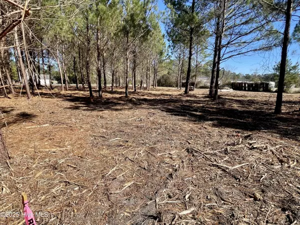 Jacksonville, NC 28540,Lot 1 & 2 King RD
