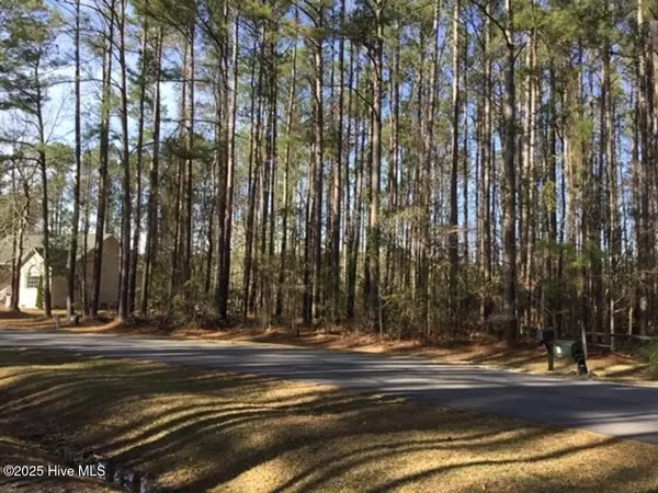 Oriental, NC 28571,257 Spicers Creek DR