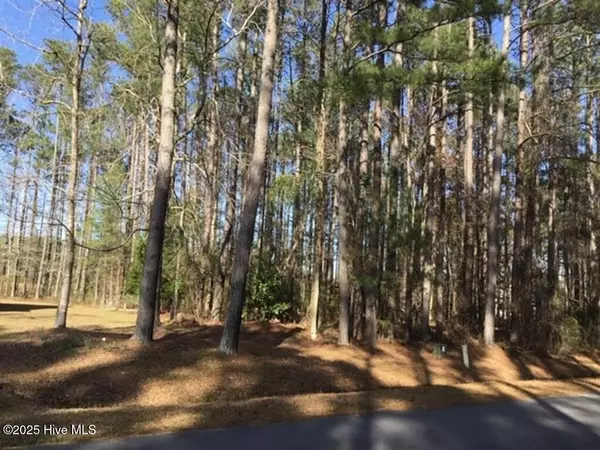 Oriental, NC 28571,257 Spicers Creek DR