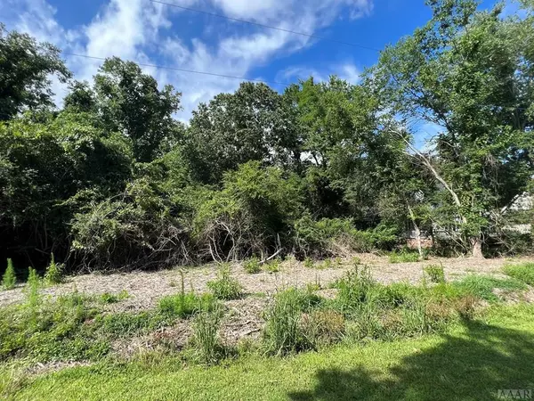 Edenton, NC 27932,119 Horniblow Point RD