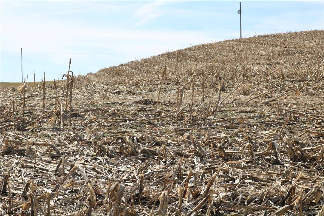Fresno, OH 43824,County Rd 2
