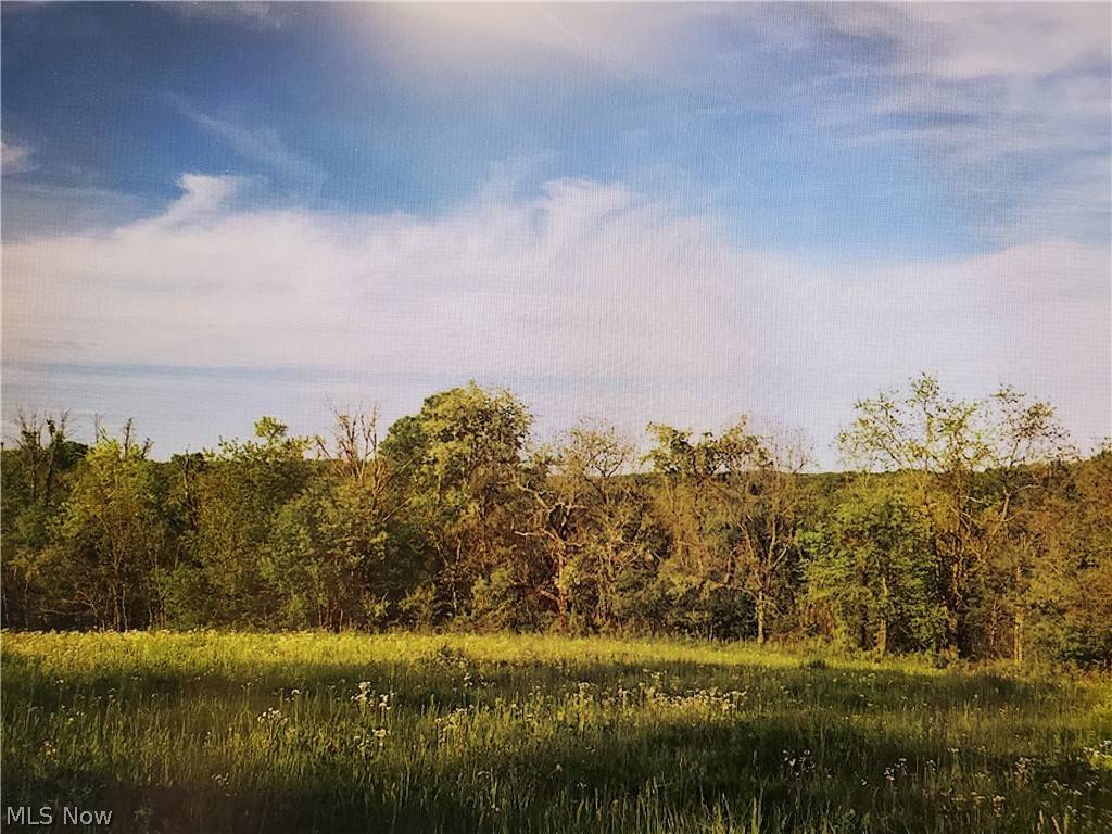 County Road 436, Dresden, OH 43821