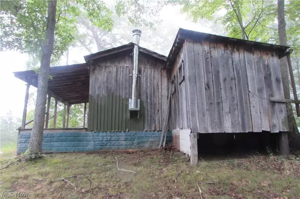 Big Springs, WV 26137,Leading Creek Rd