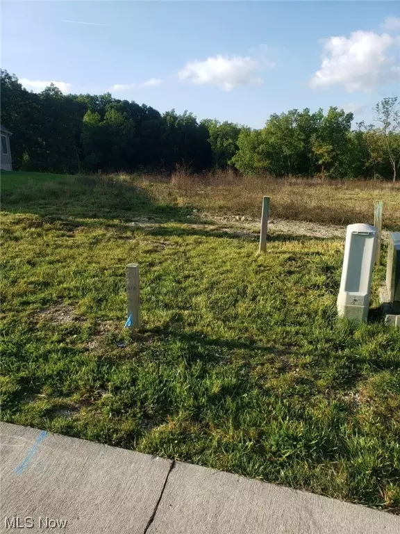 Medina, OH 44256,3636 Hidden Canyon TRL