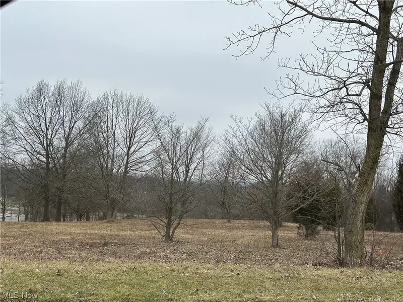 Fortuna DR, Green, OH 44685
