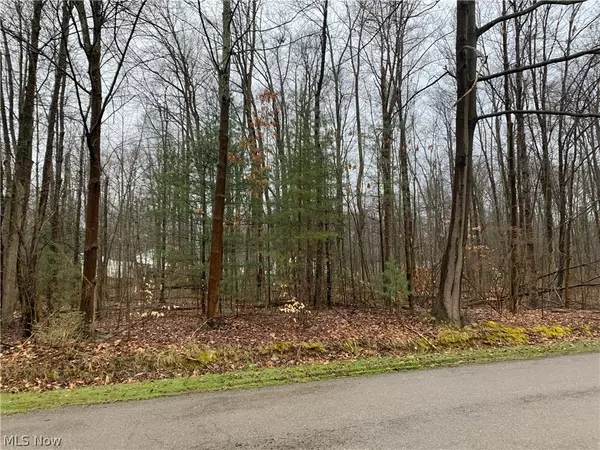 Andover, OH 44003,Lakeview RD
