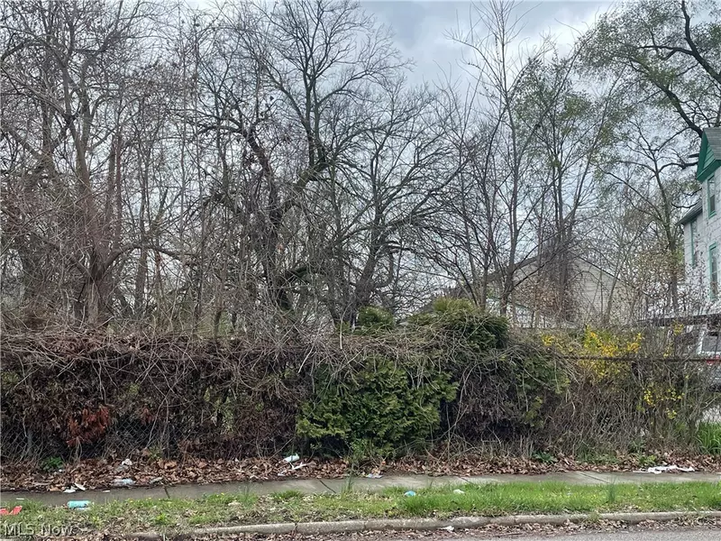 E 93rd ST, Cleveland, OH 44106