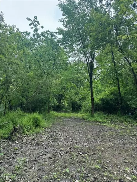 Russell AVE, Lorain, OH 44055