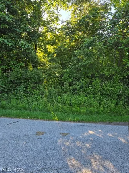 V/L Northview DR, Chagrin Falls, OH 44023