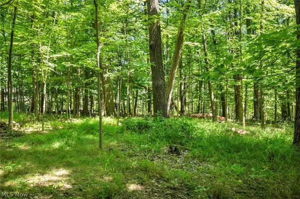 Timothy LN Brecksville, OH 44141