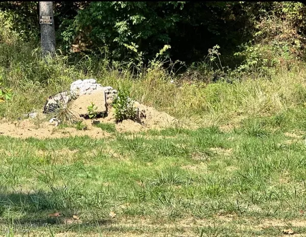 Belleville, WV 26133,Slate run rd