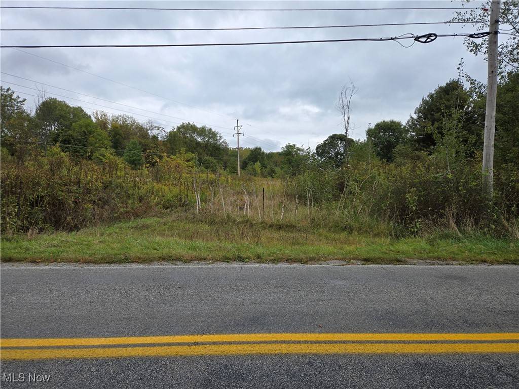 Windham, OH 44288,V/L Parkman RD