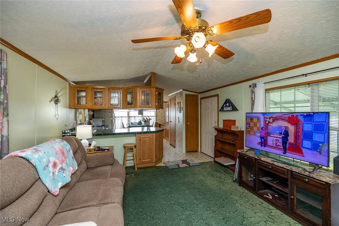 Olmsted Township, OH 44138,13 Trolleyview LN