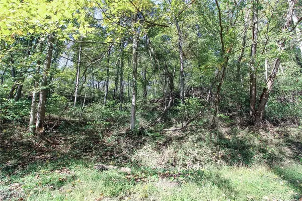 Marietta, OH 45750,Lot 2 Brooks RD