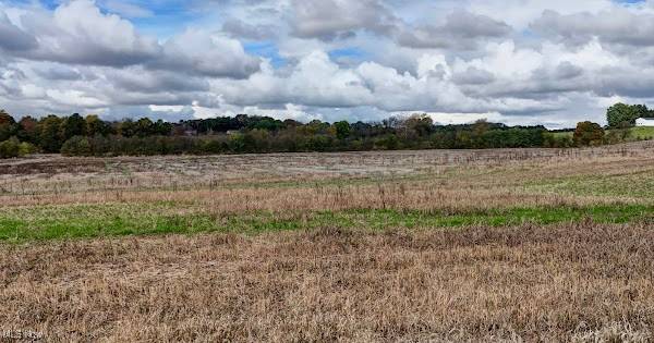 Bellway AVE SW, Beach City, OH 44608