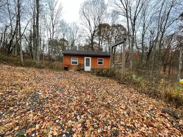 Clarington, OH 43915,51903 Blattler RD