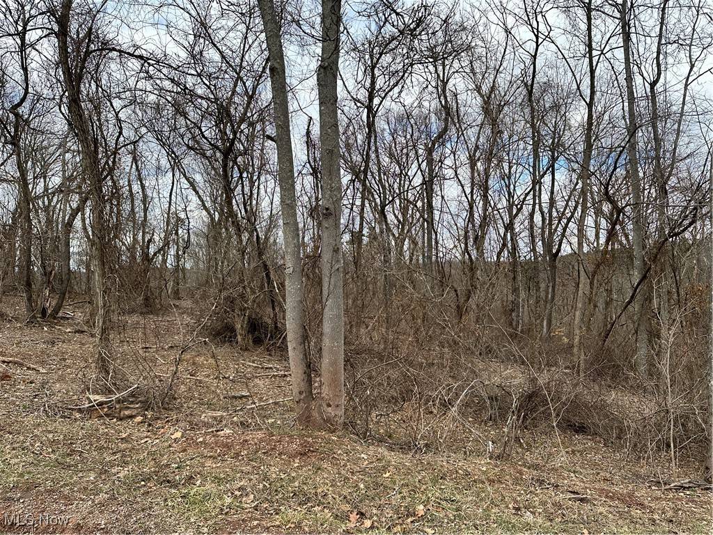 Fleming, OH 45729,0 Fisher Ridge Rd, Tract 6
