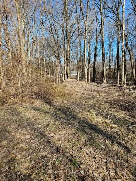 Indianola, Madison, OH 44057