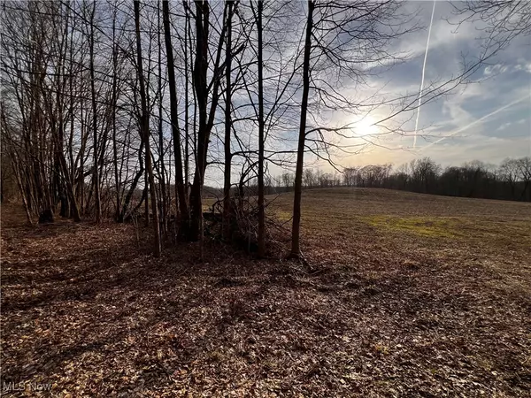 Williamsfield, OH 44093,00 Creek RD