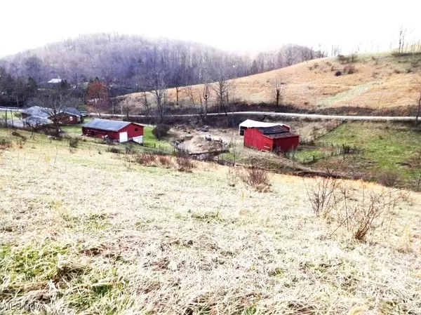 Newton, WV 25266,78 Blown Timber RD