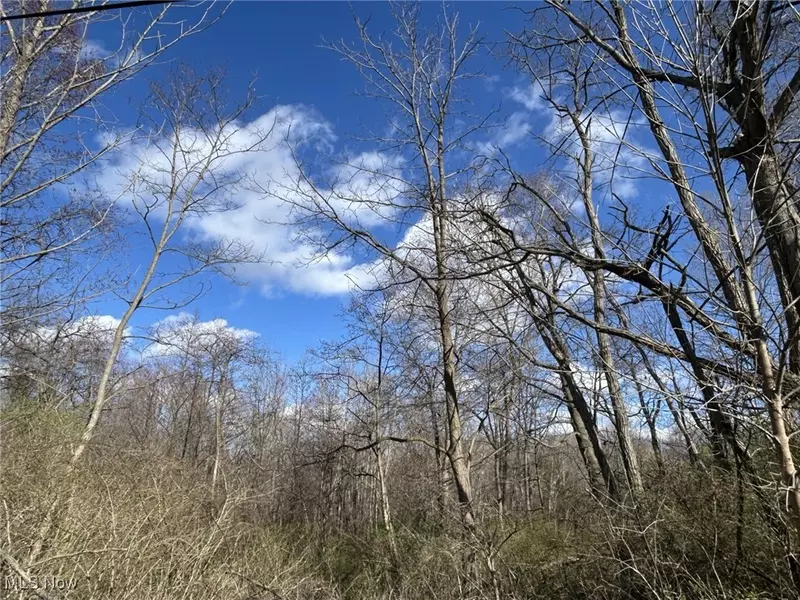 V/L Dock RD, Madison, OH 44057