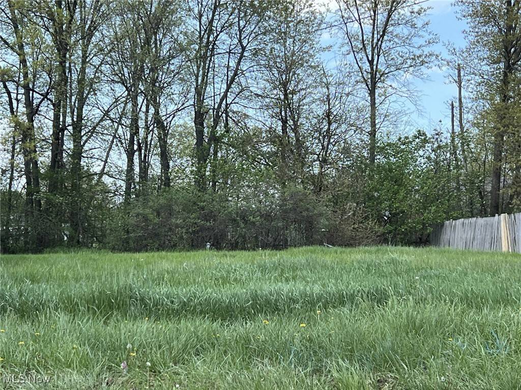 Lorain, OH 44053,Leavitt RD