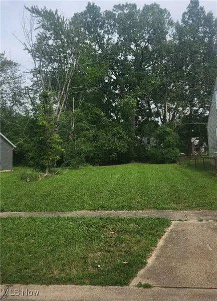 Canton AVE, Lorain, OH 44055